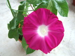 DSCF2741.JPG